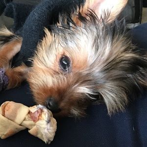 Meet your Posher, Deb